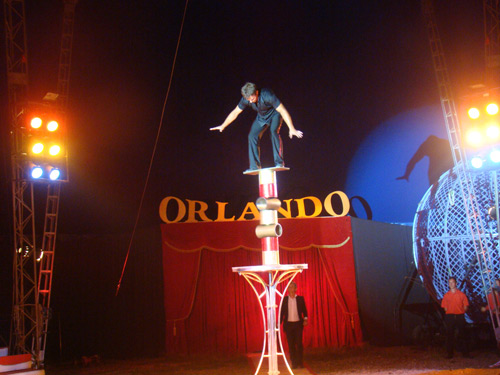 Foto: Circul Orlando - Baia Mare (c) eMaramures.ro